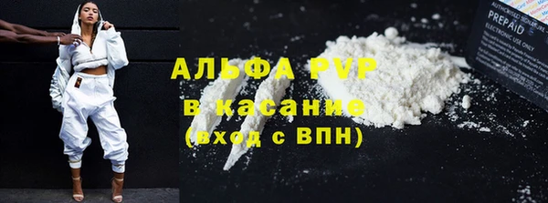 прущие грибы Аркадак