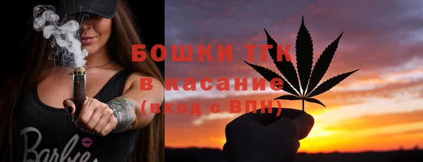 прущие грибы Аркадак