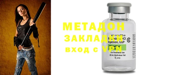 прущие грибы Аркадак