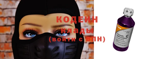 прущие грибы Аркадак