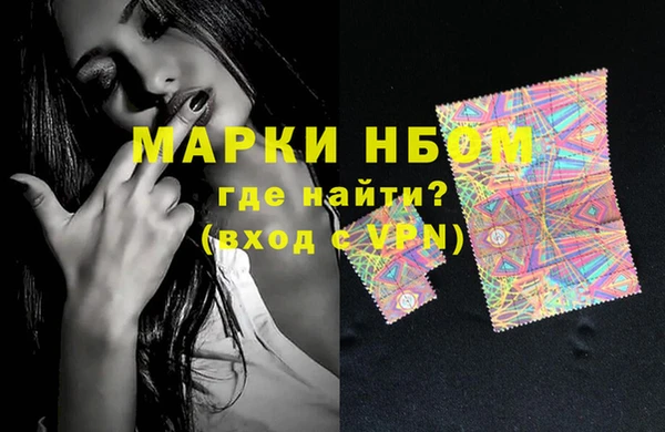прущие грибы Аркадак