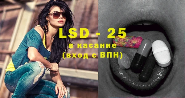 прущие грибы Аркадак